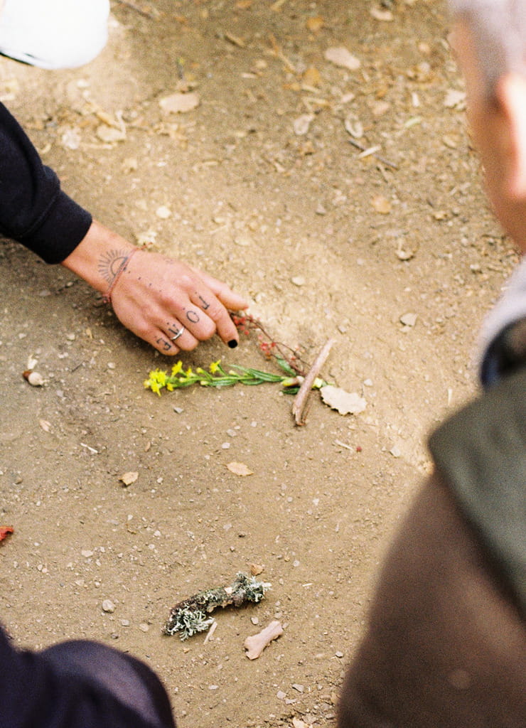 A hand reaches for a plan specimen sitting on the ground