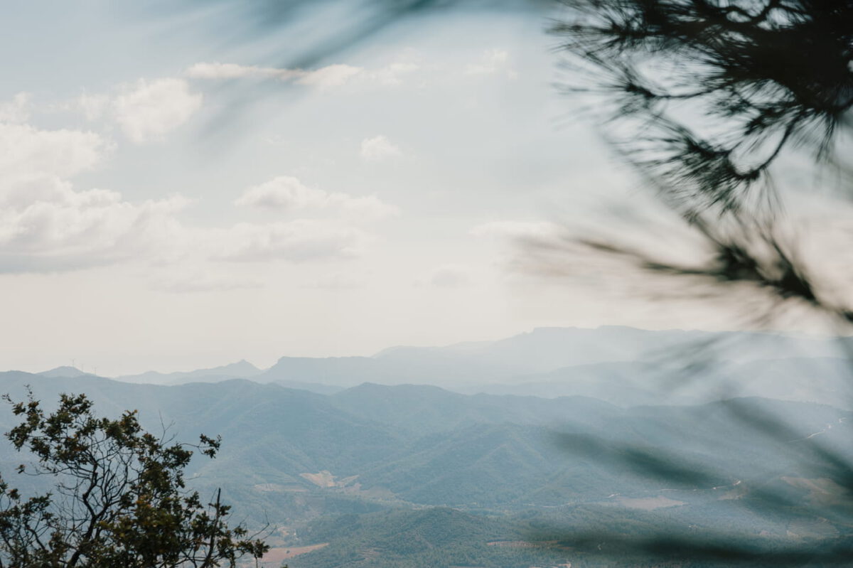 A view out across mountains through some trees
