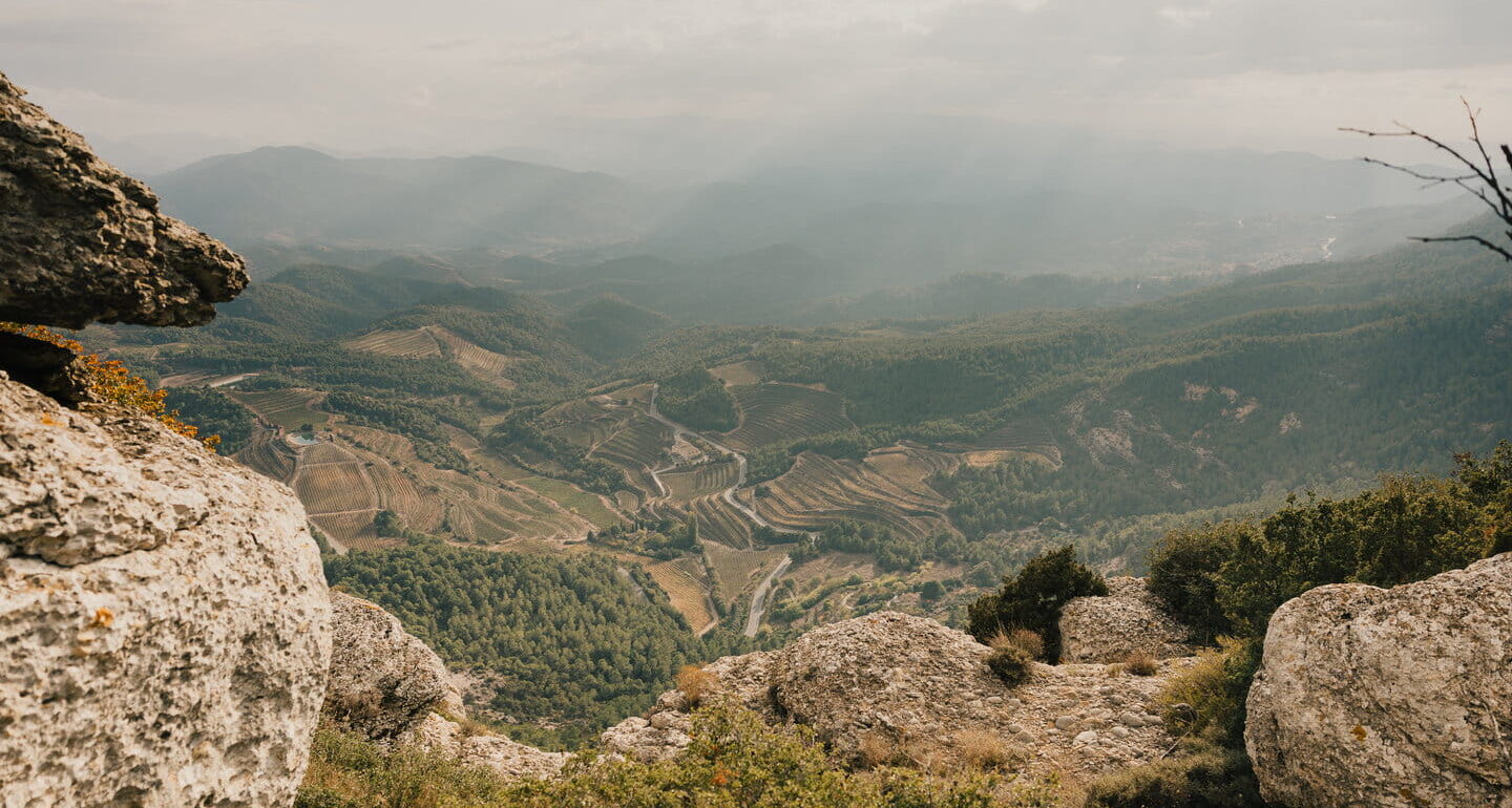 Wild Paths